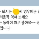 (주)와플 네이버블로그