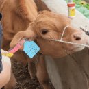 초우목장 이미지