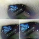 경기도 수원시 팔달구 고화로31번길 이미지