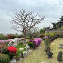 플렉스프라이빗풀빌라 이미지