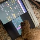 면목중학교 | 제69회차 한능검 노베이스 독학 시험 후기