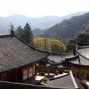 황강은빛백사장길 이미지