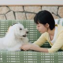 고그린
