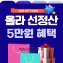 올라선정산 후기 쿠팡 에이블리 판매자 돈맥경화해결정산하는 비법