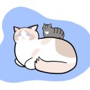 유포리아의원 네이버블로그