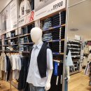 가나통신 | 프로토형 유니클로 제주 도남점 오픈 후기