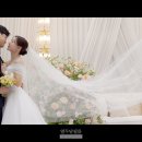 열두달필름 이미지