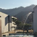 다가섬펜션 | 서울근교펜션 추천! 신생아 숙소 다가섬펜션 내돈내산 방문 후기