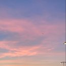 선셋(sunset) 이미지