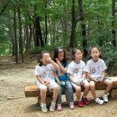 숲소리어린이집 이미지