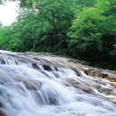 동산계곡야영장 이미지