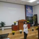 주라쉼터 이미지