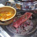 통갈비살집