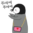 예뻐예 이미지
