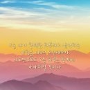 매일요가
