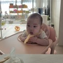 우리 아이 감성 쑥쑥 씨어터 키즈 온 - 안녕, 도깨비 | 내돈내산 이유식 꿀템 싸이벡스 레모 올인원 하이체어 6개월 사용기