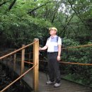한림포장1호 태양광발전소 | 20100910 제주도 한라산 03 성판악-한라산-성판악