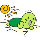 고등어학원