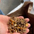 한우사랑목장 이미지