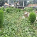 회인초등학교 이미지