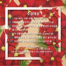 꽃차 소믈리에로의 초대 이미지