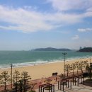 팔레드시즈