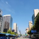 디엘로 바디&왁싱 두피스파 네이버블로그
