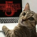 [언제든학교]여행의 정수 시즌 4 : 시 낭독 여행 | 새해네요