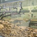 주식회사비케이팜 이미지