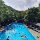 광덕산관광농원 호두나무캠핑장