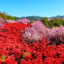 전주 완산 칠봉 이미지