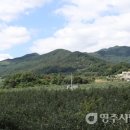대촌1리마을회관 이미지