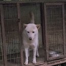 풍호로 이미지