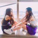 플틴