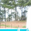 다윈하우스 이미지