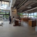1878 | 돌코리숲 제주 가볼만한 곳 | 1만 8천 평, 고양이 시선으로 즐기는 이색 체험 (+치치트레인 후기)