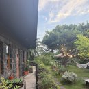 올리브네 | 제주 한경면 분위기 좋은 스테이크 맛집 ‘비냐스테’