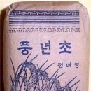 꼬바리 이미지