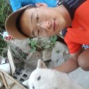 고성군공설테니스장 이미지