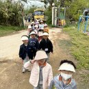 4월 ＜도시농부 소풍 자연체험학교＞ 유기농쌈채소 체험 이미지