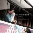 결성양계장 티브이데일리