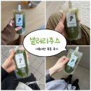 내돈내산 디톡스주스 일품자연 샐러리주스 리뷰 🌿
