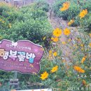 구평동-9 이미지