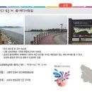 공원갈매기 이미지