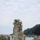 삼척 숨겨진 비경 신남해 수욕장 길을 잃고 만난 작은 천국에서 배리어 프리 반려견 동반 노지캠핑