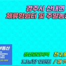 우라2리 네이버블로그