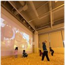 사랑 태권도 | 각화동태권도 아이들에게 자신감을 심어주는 최고의 선택, 두암동 태권도 체험기