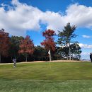 헬로우골프투어 이미지