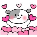 노모어 플레이스