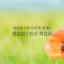 엘로히스트 책갈피 "감사하면 감사할 일이 생겨요" 이미지